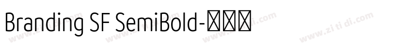 Branding SF SemiBold字体转换